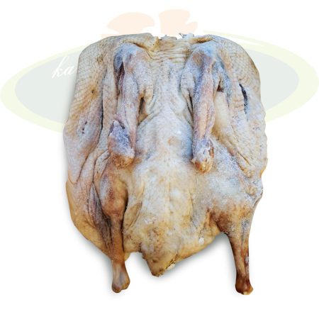 Kurutulmuş Köy  Kazı (2.700gr) - (3.000gr)