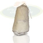 Deri Koyun Tulum Peyniri (1500gr / 1650gr)